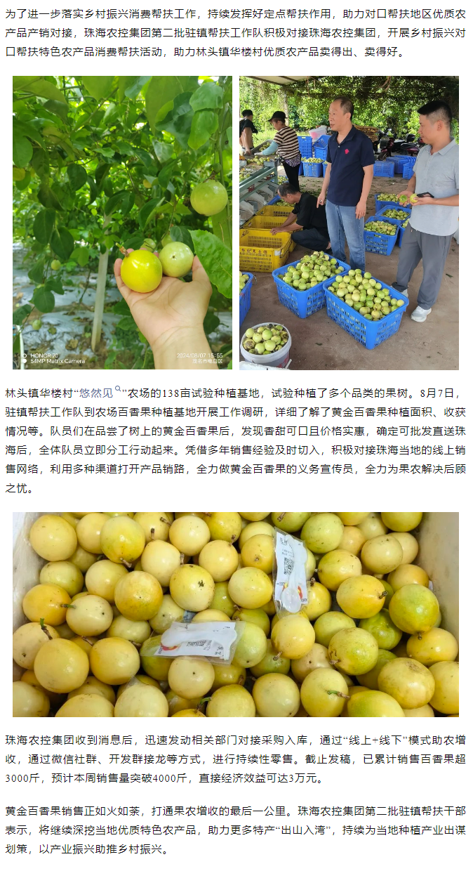 MK在线集团助力产销对接 对口帮扶果香飘百里.png
